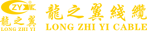 东莞市龙之翼实业有限公司